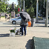 В Саратовской области в выходные обещают дожди и грозы 